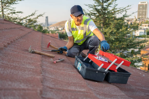 Best Historical Building Siding Restoration  in Silver Grove, KY